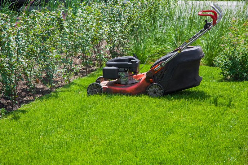 Spring Lawn Mowing