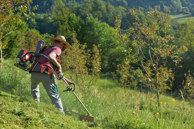 Tall Grass Trimming