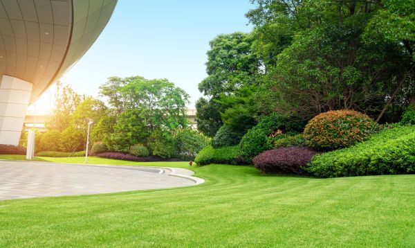 Cost of Commercial Lawn Mowing in Anacortes