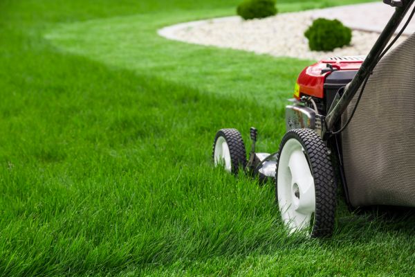 Cost of Grass Cutting Service in Anacortes