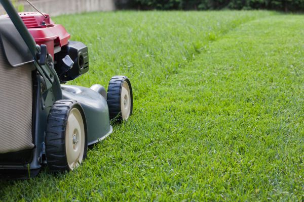 Cost of Lawn Care Service in Anacortes