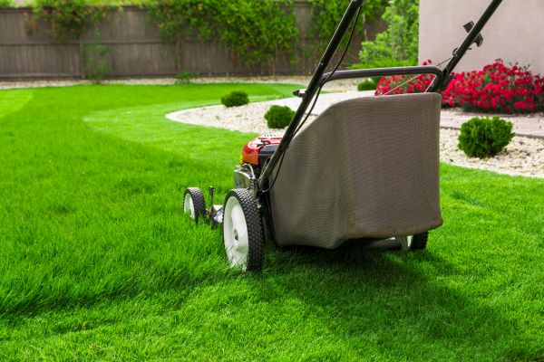 Cost of Lawn Mowing in Anacortes