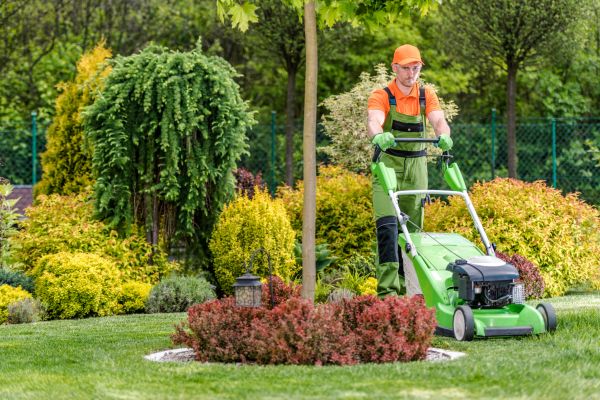 Cost of Yard Service in Anacortes