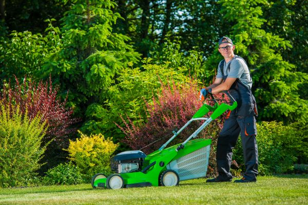 Cost of Yard Work Service in Anacortes