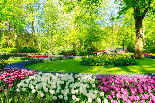 Cost of Spring Lawn Care in Anacortes