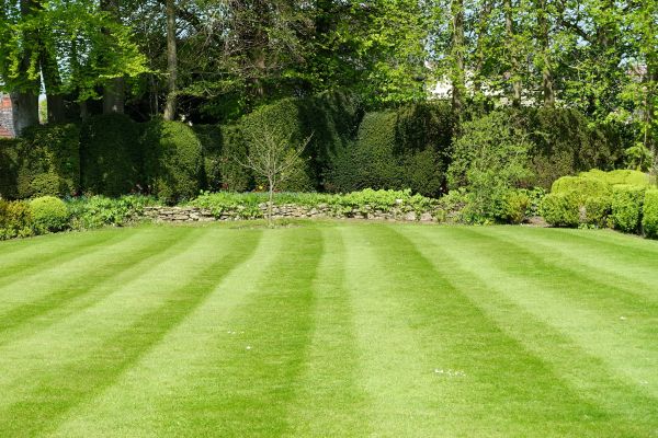 Cost of Grass Care Service in Anacortes