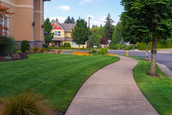 Cost of Home Lawn Maintenance in Anacortes