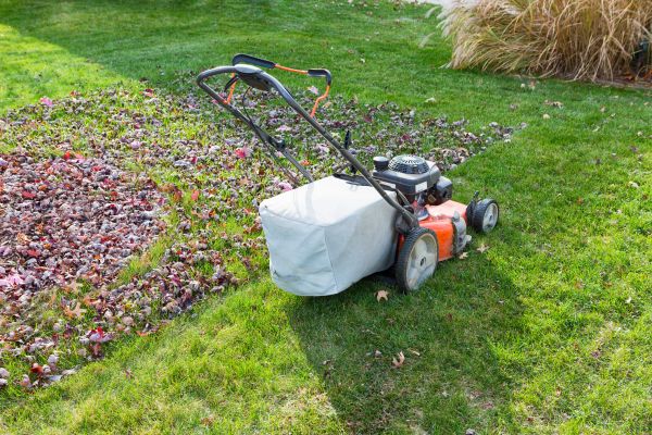 Cost of Seasonal Lawn Care in Anacortes