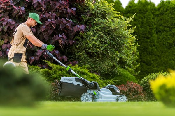 Cost of Lawn Management in Anacortes