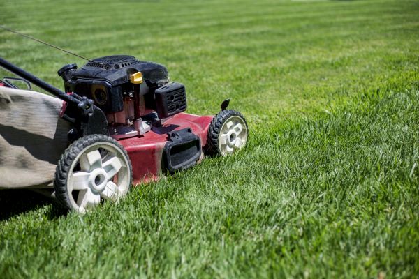 Cost of Routine Lawn Care in Anacortes