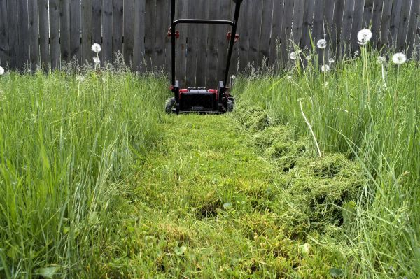 Cost of High Grass Mowing in Anacortes