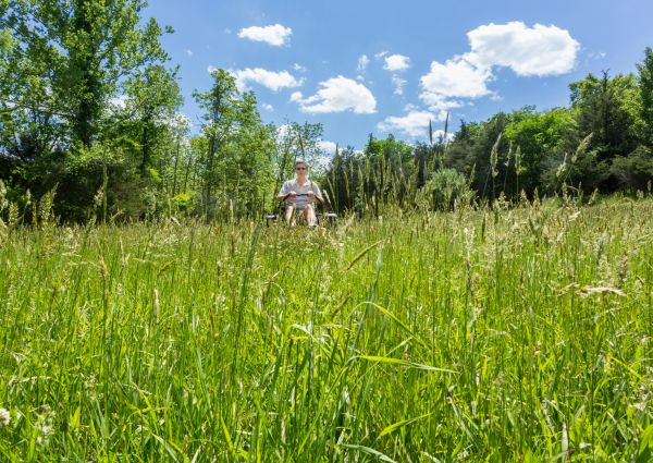 Cost of Long Grass Mowing in Anacortes