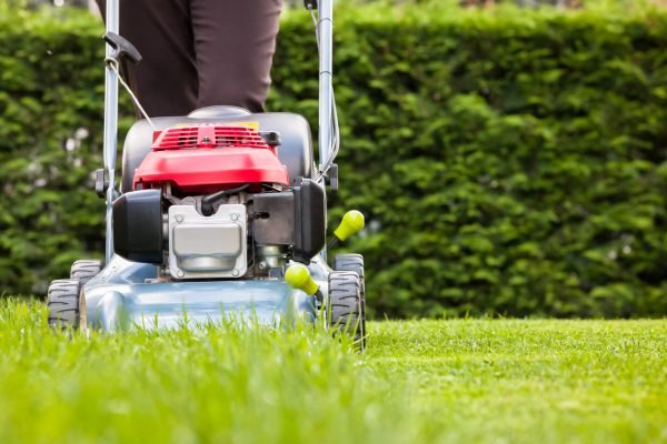 Cost of Grass Trimming Service in Anacortes
