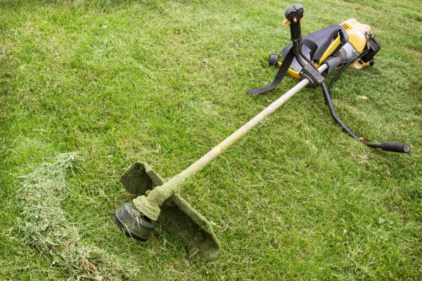Cost of Hillside Weed Whacking in Anacortes