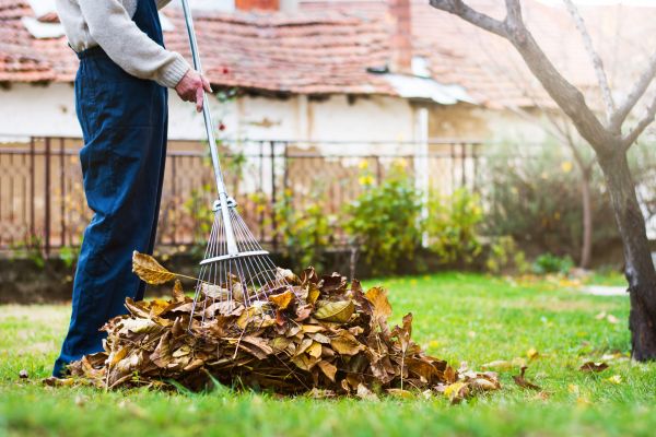 Cost of Routine Lawn Maintenance in Anacortes