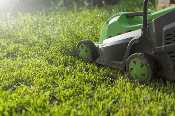 Cost of Residential Lawn Maintenance in Anacortes
