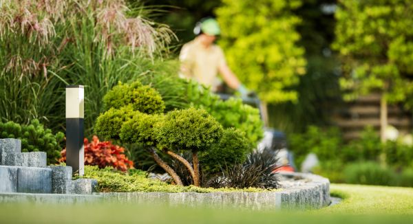 Cost of Residential Yard Maintenance in Anacortes