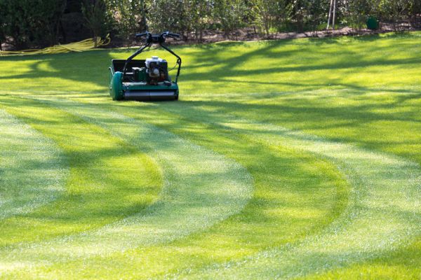 Cost of Business Lawn Mowing in Anacortes