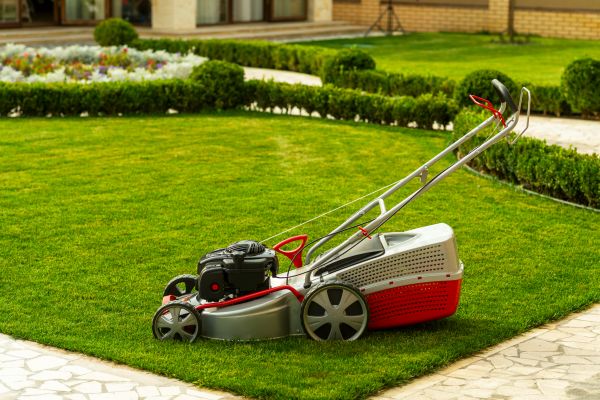 Cost of Business Grass Cutting in Anacortes