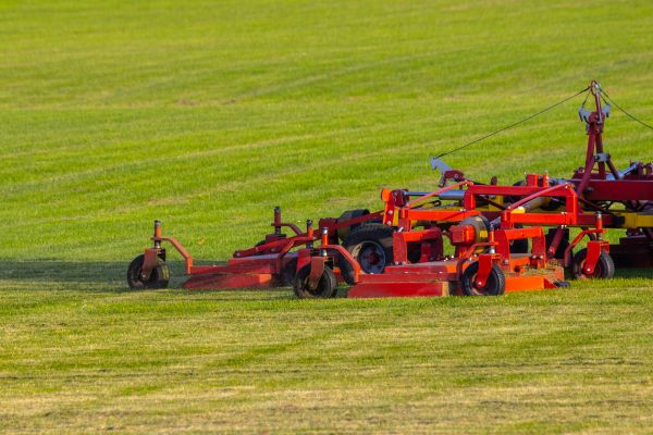 Cost of Industrial Lawn Service in Anacortes