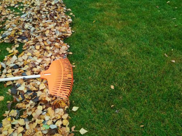 Cost of Fall Lawn Care in Anacortes