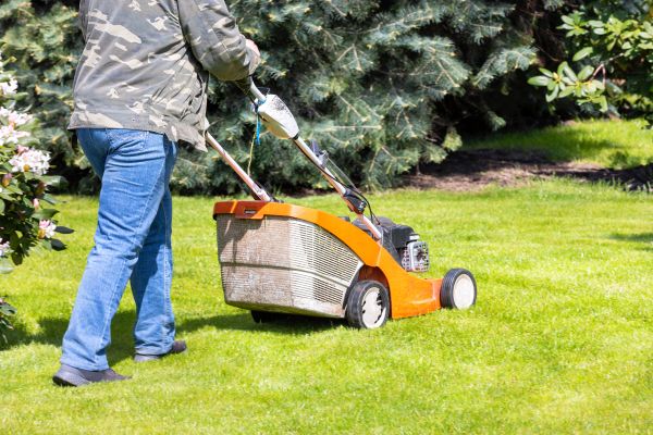 Cost of Springtime Lawn Care in Anacortes