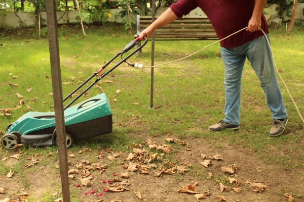 Cost of Leaves Mowing in Anacortes