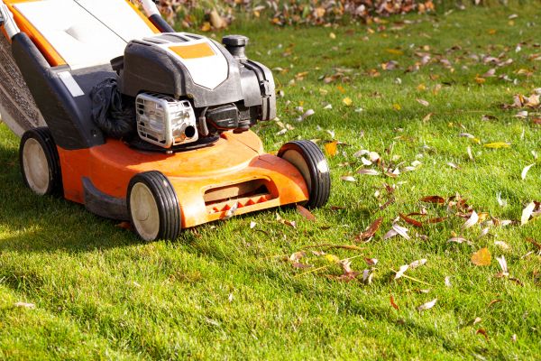 Cost of Fall Mowing in Anacortes