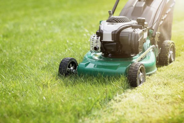 Cost of Spring Grass Trimming in Anacortes