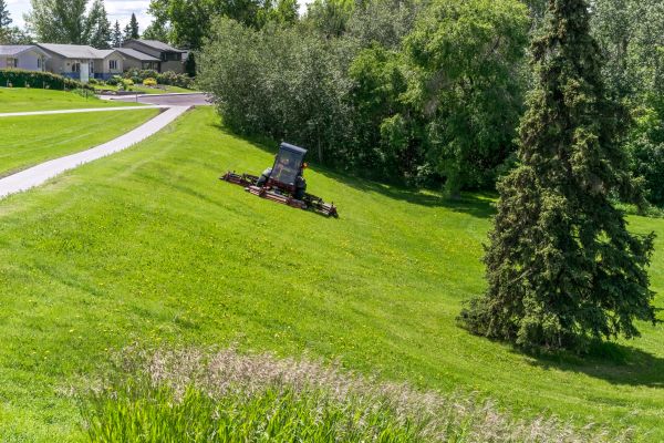 Cost of Sloped Area Mowing in Anacortes