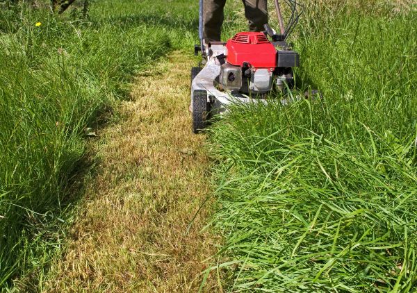 Cost of Leaf Mowing in Anacortes