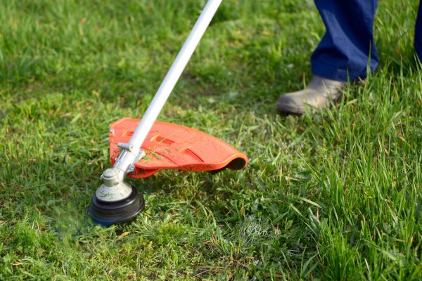 Cost of Lawn Weed Whacking in Anacortes