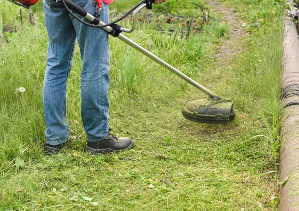 Cost of Tall Grass Trimming in Anacortes